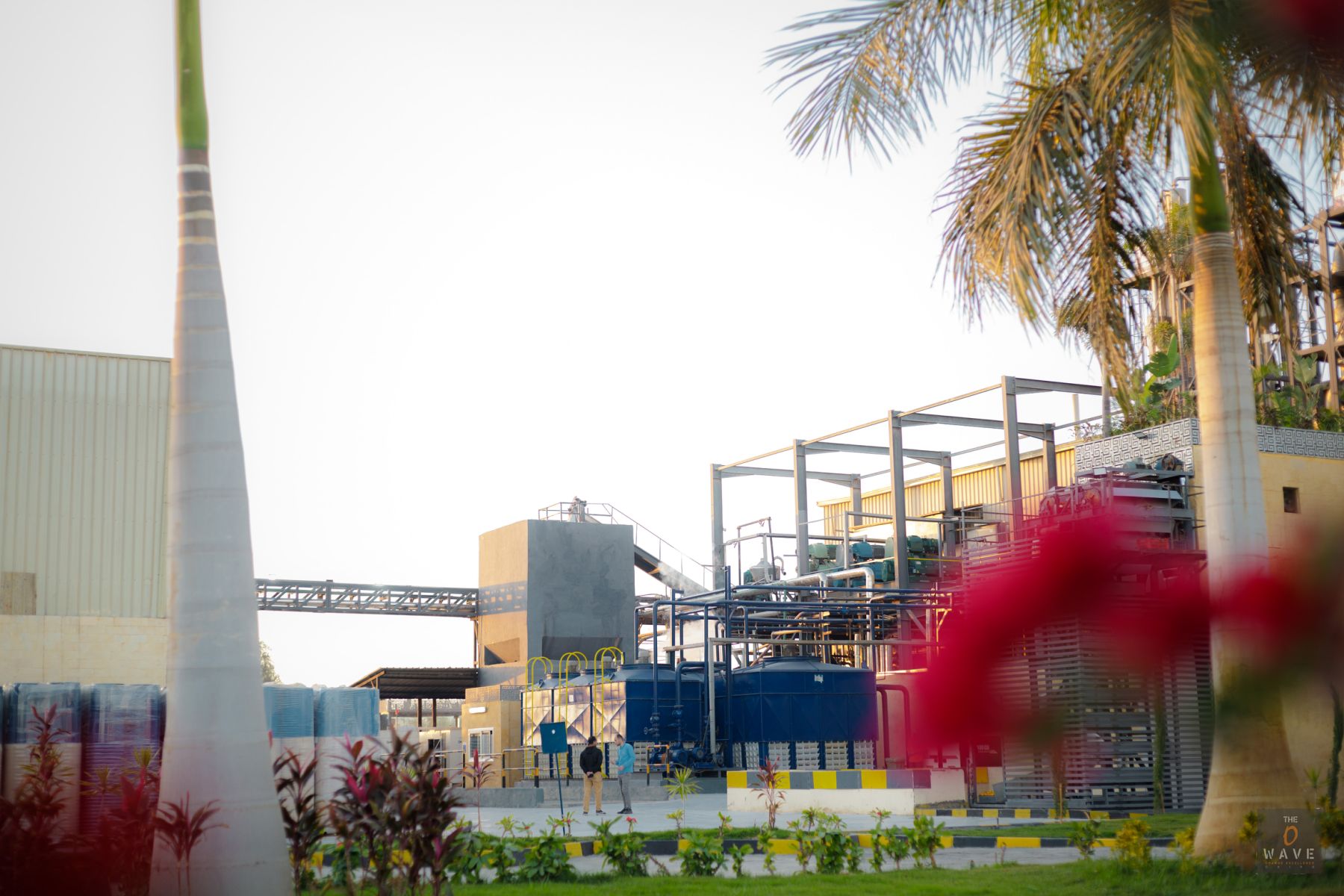 OrangeWave factory in Sadat City